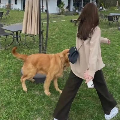白小姐